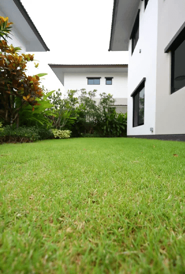 Backyards