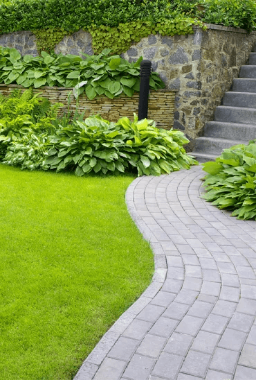 Landscaping